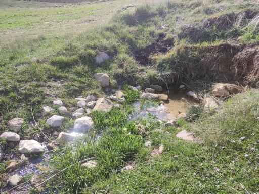 عکس رودخانه آبسرده