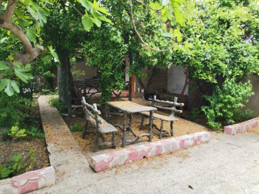 عکس تالار پذیرایی زیتون