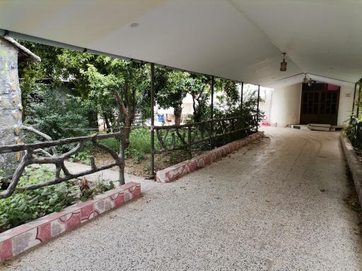 عکس تالار پذیرایی زیتون