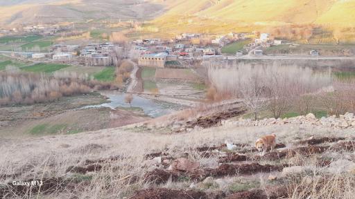 عکس رودخانه آبسرده
