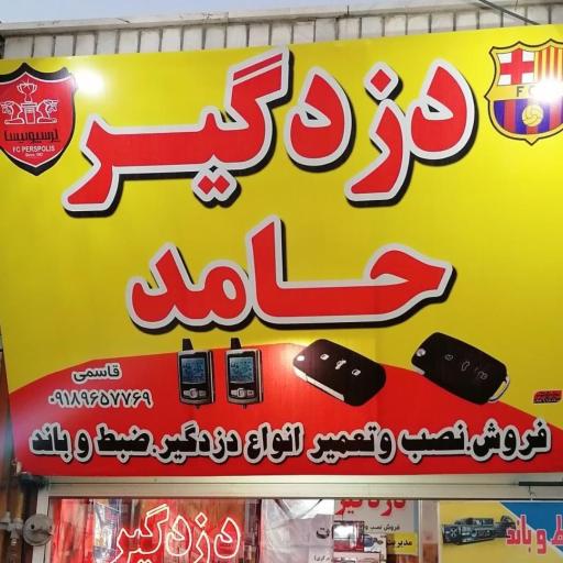 عکس دزدگیر حامد 