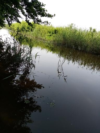 عکس تعاونی قایقرانان سنگاچین