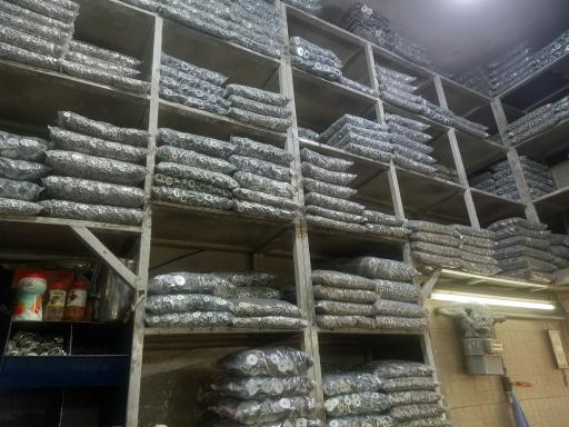 عکس پیچ نیکزاد 