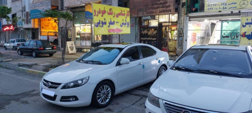 عکس کارشناسی رنگ و فنی ایرانیان