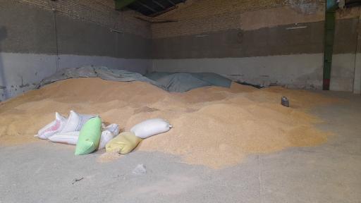 عکس خوراک دام حاجیان 