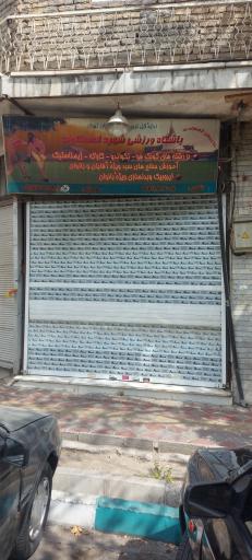 عکس باشگاه هنرهای رزمی شهید احمد کاوند 