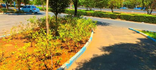 عکس بوستان فدک