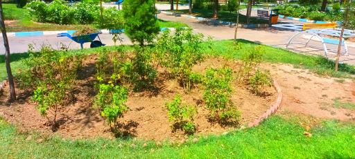 عکس بوستان فدک