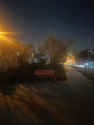 عکس بوستان محلی