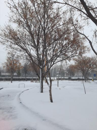 عکس بوستان فدک