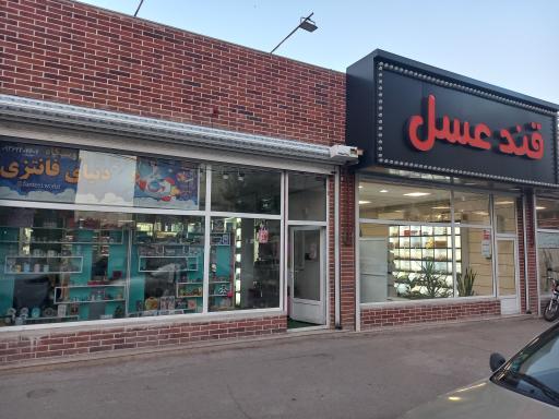 عکس فروشگاه دنیای فانتزی 