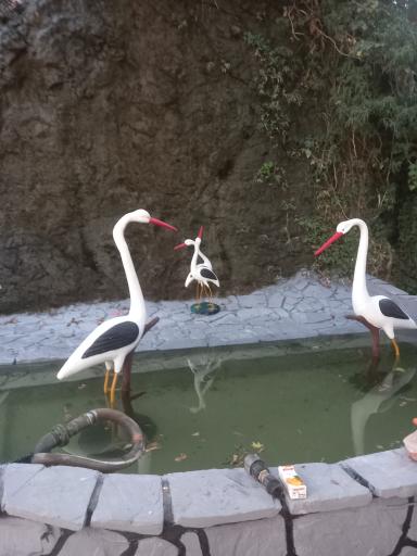 عکس رستوران مقدم