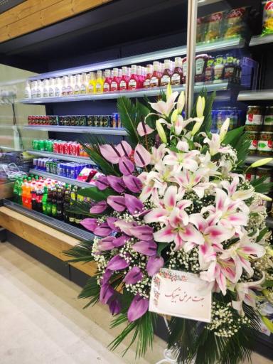 عکس پروتئین هامون 