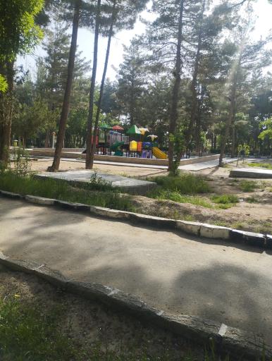 عکس پارک جنگلی