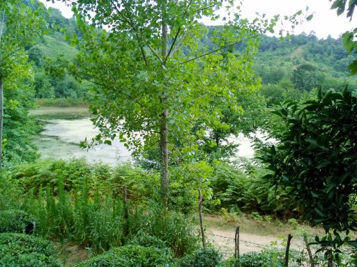عکس روستای بالامحله بَـندبُن