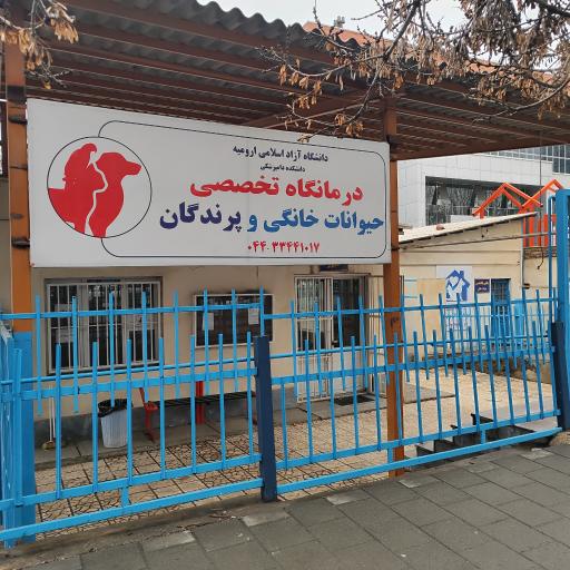 عکس درمانگاه تخصصی حیوانات خانگی و پرندگان