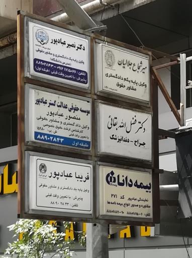 عکس وکیل پایه یکم دادگستری میر شجاع جلالیان 