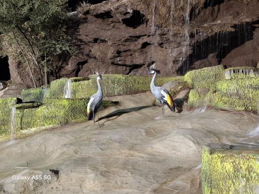 عکس آبنمای صخره ای پارک شهر لار