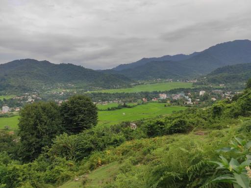 عکس ماکلوان