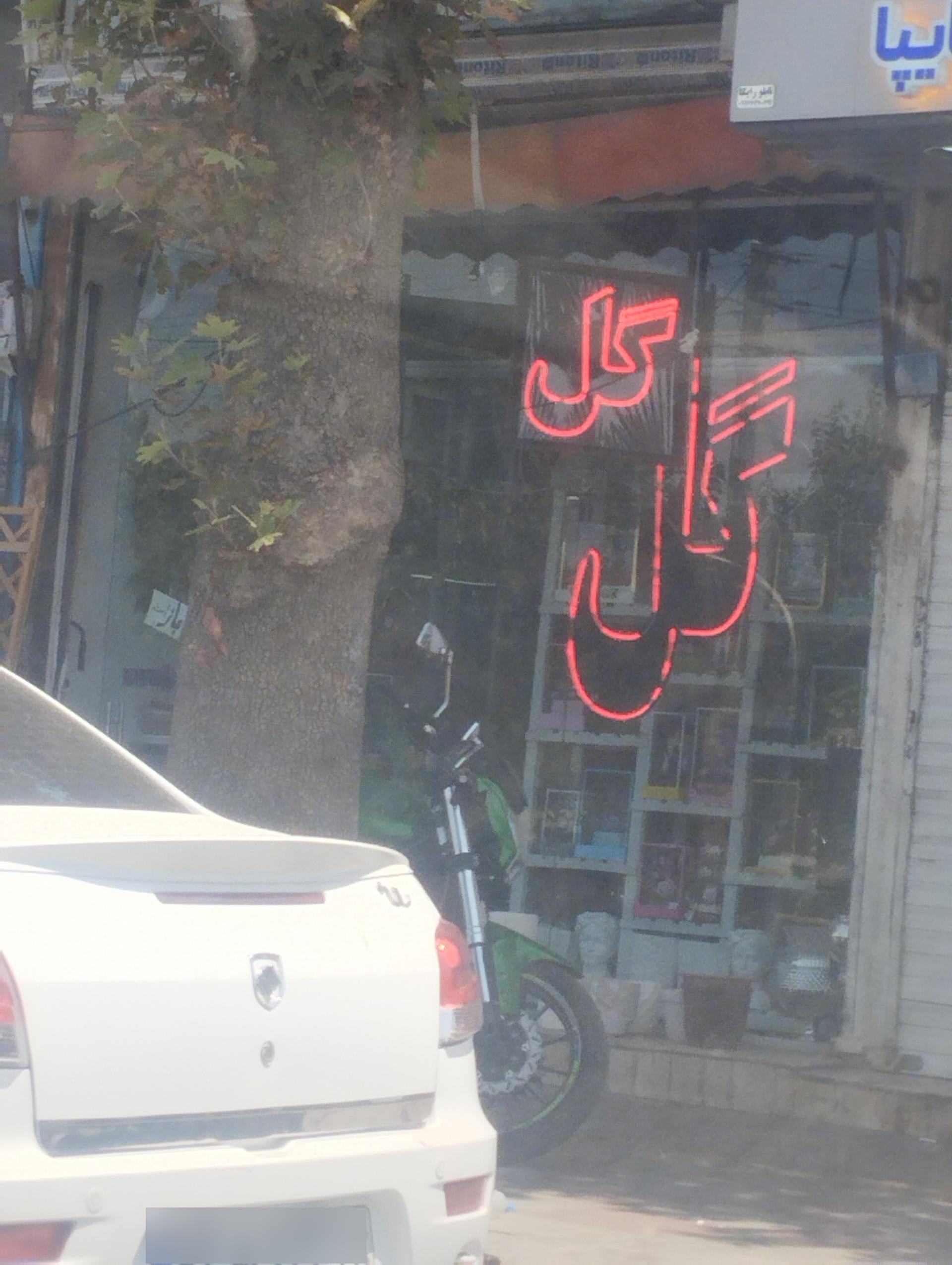 عکس گل فروشی