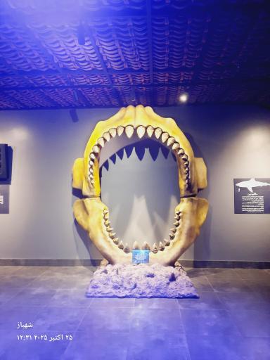 عکس فانتستیک آکواریوم انزلی