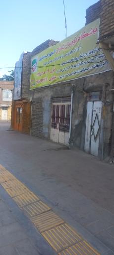 عکس باشگاه فوتبال شاوان 
