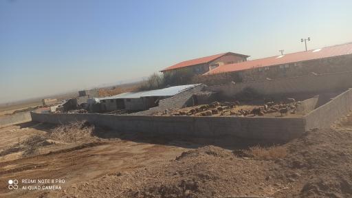 عکس دامداری تفاهمی 