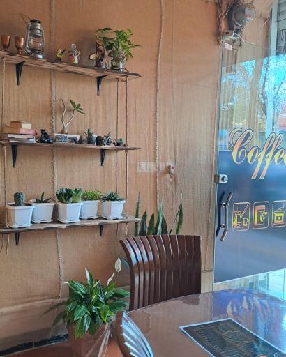 عکس کافه دریم