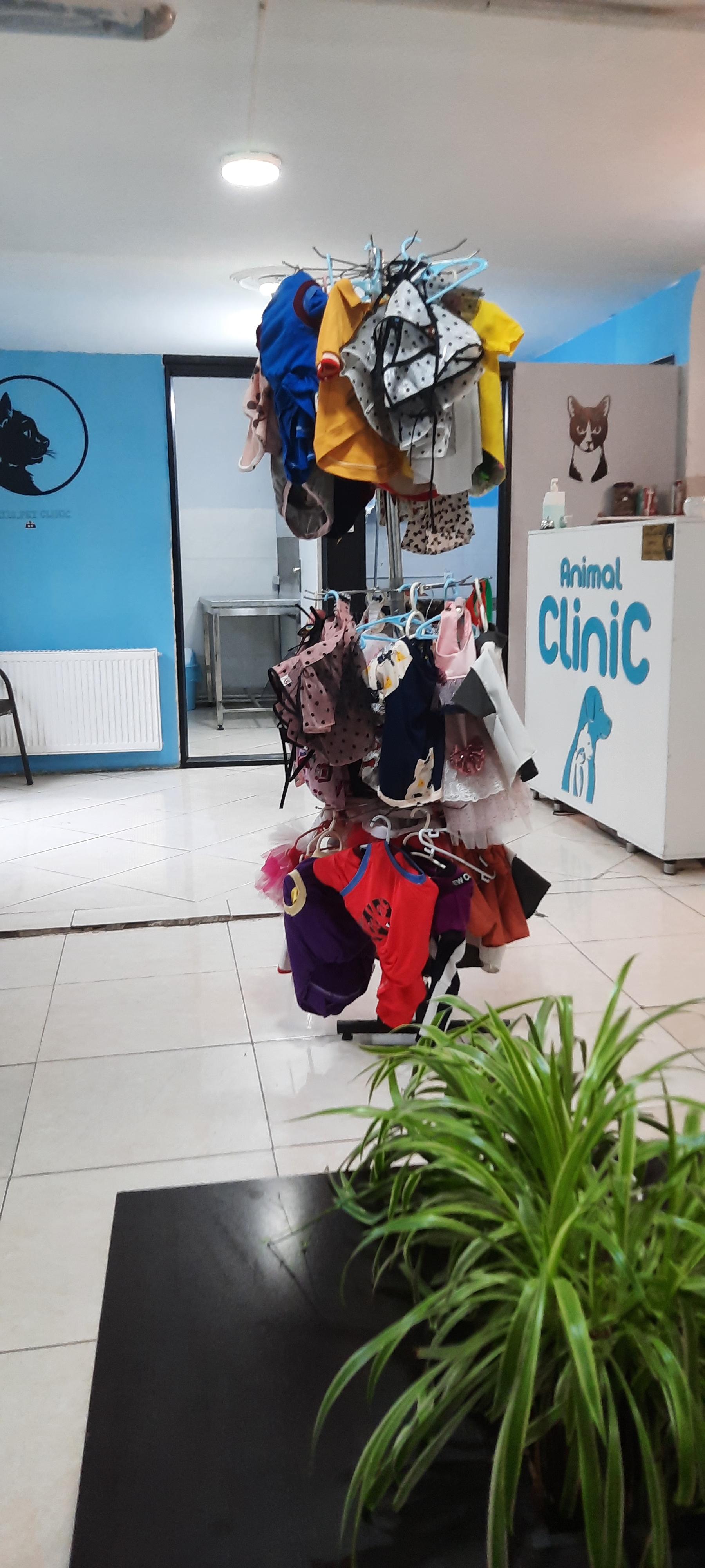 عکس پت شاپ داتیس