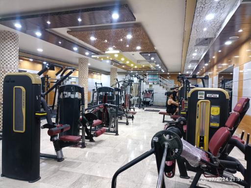 عکس بدنسازی آرامیس