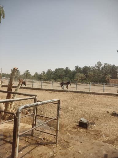 باشگاه سوارکاری آهن شهر