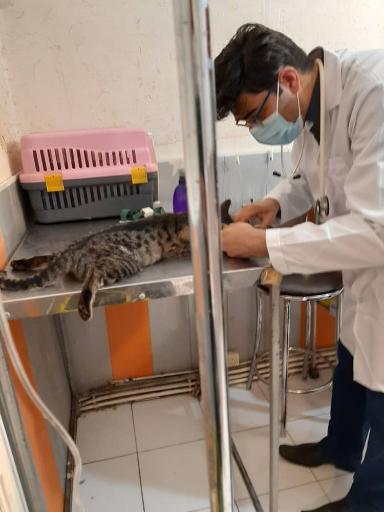 عکس کلینیک تخصصی حیوانات خانگی پاستور