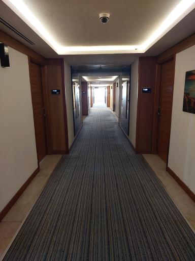 هتل بین المللی کیش