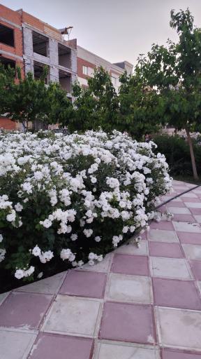 عکس پارک فدک