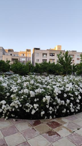 عکس پارک فدک