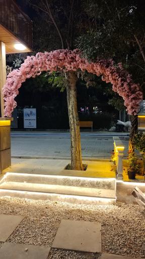 عکس فود استریت 