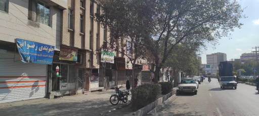 عکس دنیای پرنده