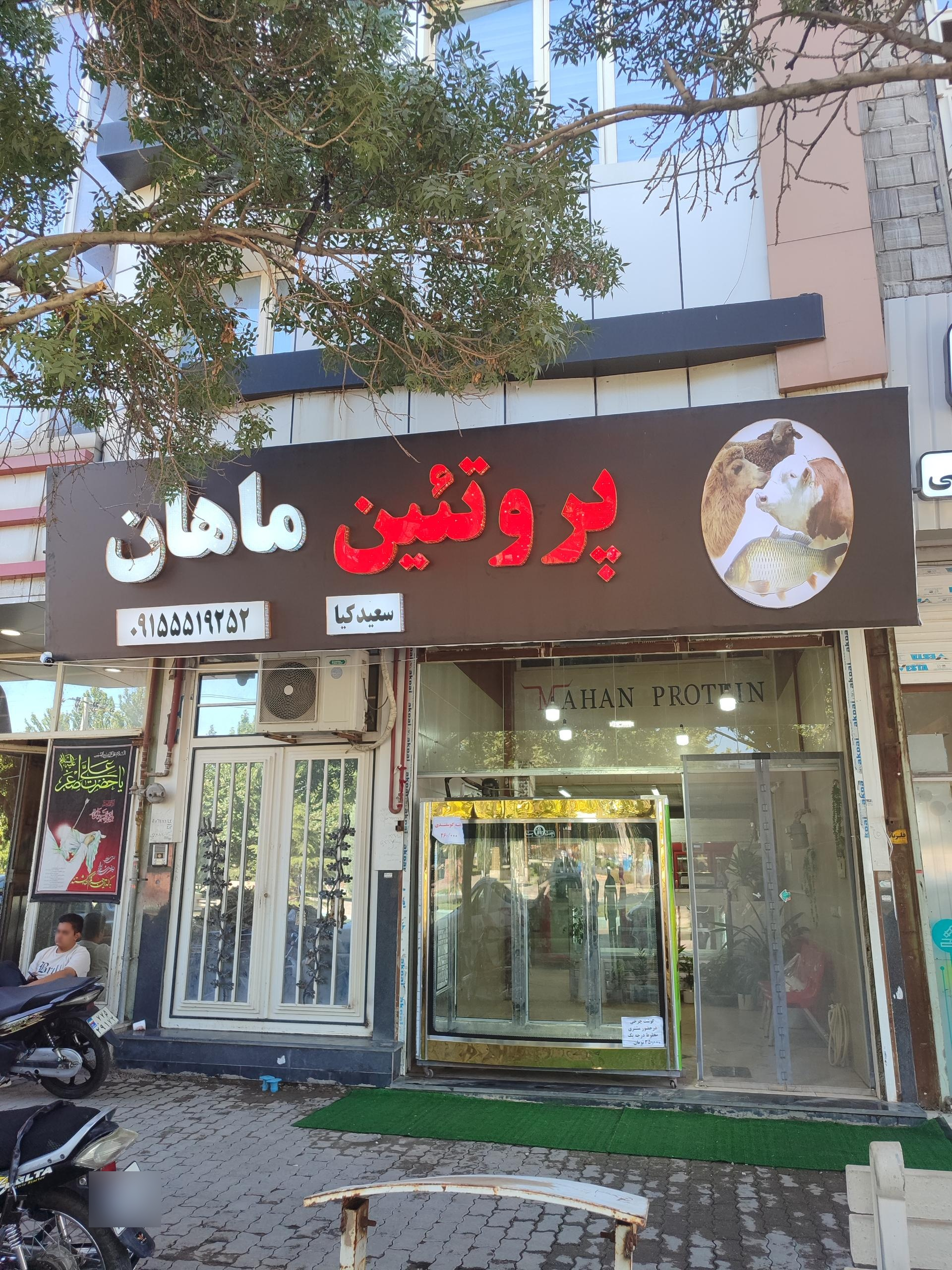 عکس پروتیین ماهان