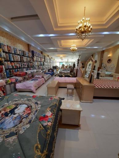 عکس تشک ویولت