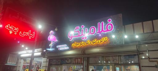 عکس سیسمونی فلامینگو