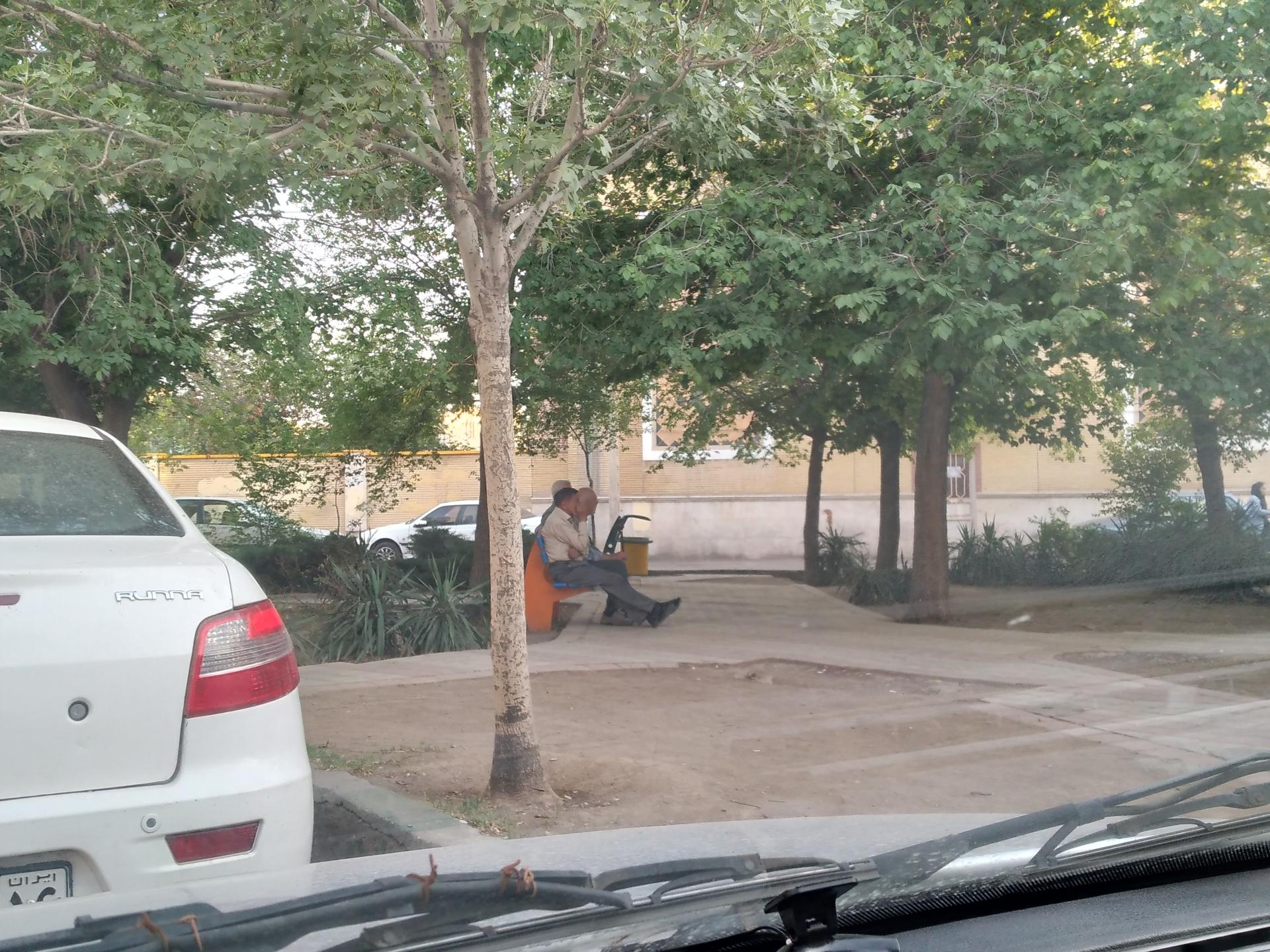 عکس بوستان زنبق