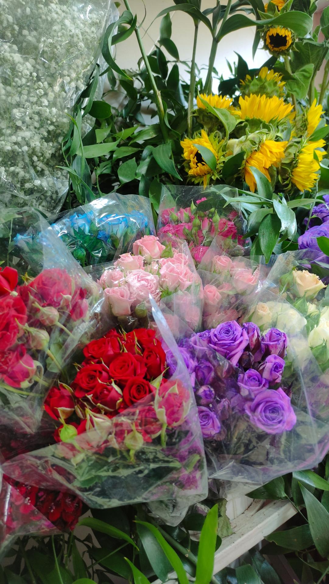 عکس گل رویا