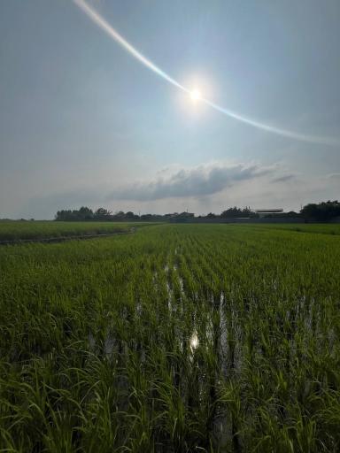 عکس عظیم آباد