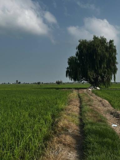 عکس عظیم آباد