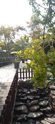 عکس پارک ناژوان