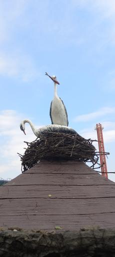 عکس پارک ناژوان