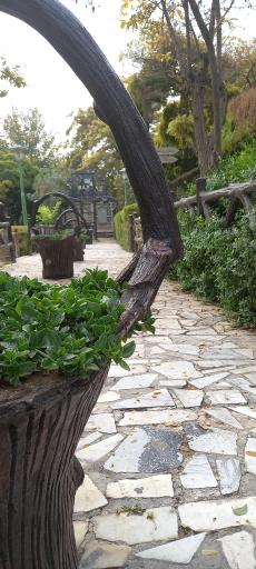 عکس پارک ناژوان