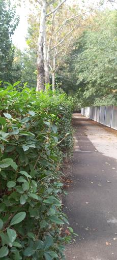 عکس پارک ناژوان