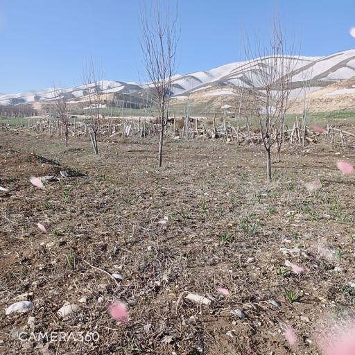 عکس مجموعه ویلاهای روستای ملک آباد کوهرنگ