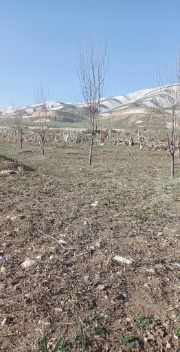 عکس مجموعه ویلاهای روستای ملک آباد کوهرنگ